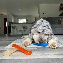 NylaboneFunandFlexiDogToys_3-count3 - Brands For Less USA