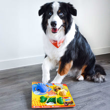 Nylabone NUBZ Treat N' Chew Dog Toy Variety Pack, 3-count