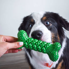 Nylabone NUBZ Treat N' Chew Dog Toy Variety Pack, 3-count