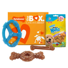 Nylabone Puppy Chew Toys and Small NUBZ Gift Box, 4-count