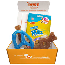 Nylabone Puppy Chew Toys and Small NUBZ Gift Box, 4-count