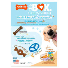 Nylabone Puppy Chew Toys and Small NUBZ Gift Box, 4-count