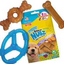 Nylabone Puppy Chew Toys and Small NUBZ Gift Box, 4-count