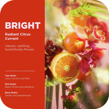 OLLYBrightBodyWashRepairs-BrightensSkinCitrusCurrant-17oz9-_3 - Brands For Less USA