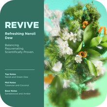 OLLY Revive Body Scrub Exfoliates & Repairs Skin Barrier Neroli Dew, 6 oz