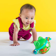 Oball Easy Grasp Jingle & Shake Pal Infant Toy Rattle, Green, Unisex, Ages 0 Months +