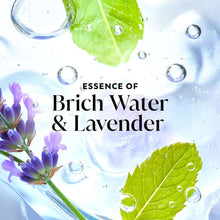 OlayFreshRadianceBodyWashwithEssenceofBirchWaterandLavender-VitaminB3andAntioxidantBlend10-_4 - Brands For Less USA