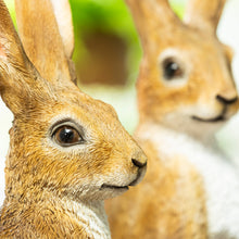 Ornamental Hares, 2-pack
