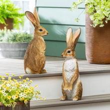 Ornamental Hares, 2-pack