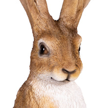 Ornamental Hares, 2-pack