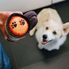 P-L-A-Y-Pet-Plush-Toys-Canine-Cafe-4-pc-Bundle-3-_6 - Brands For Less USA