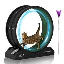 POLAHAKU-Cat-Exercise-Wheel-31-5-Cat-Treadmill-with-Carpeted-Runway-and-Safety-Lock-Black-da7645_3903_1 - Brands For Less USA