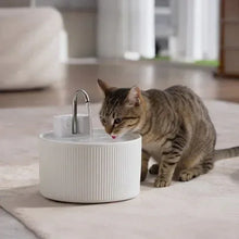 PawsPikCordlessCeramicFaucet-StylePetWaterFountain_Bundle2 - Brands For Less USA