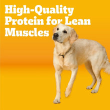 Pedigree-Adult-Dry-Dog-Food-Roas2 - Brands For Less USA
