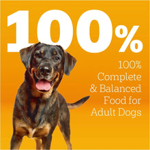 Pedigree-Adult-Dry-Dog-Food-Roas3 - Brands For Less USA