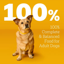 Pedigree-Choice-Cuts-in-Gravy-Ad_2_4 - Brands For Less USA