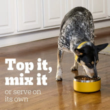Pedigree-Chopped-Ground-Dinner-W4 - Brands For Less USA