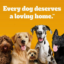 Pedigree-Chopped-Ground-Dinner-W6 - Brands For Less USA