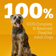 Pedigree-Chopped-Ground-Dinner-W_1_4 - Brands For Less USA