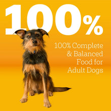 Pedigree-Complete-Nutrition-Roas3_7c1f7ea5-62ff-4675-bffb-c06726ba9d39 - Brands For Less USA