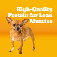 Pedigree-Complete-Nutrition-Roas_2_2_a2771cc6-071f-434b-802e-e21476bd222c - Brands For Less USA