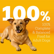 Pedigree-Complete-Nutrition-Roas_2_3_8cceb73c-2f36-48e7-b797-0fc66dd191b0 - Brands For Less USA