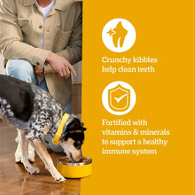 Pedigree-Complete-Nutrition-Roas_2_6_89352495-f542-4a9a-a49d-c9058960b591 - Brands For Less USA