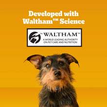Pedigree-Dentastix-Beef-Flavor-T2 - Brands For Less USA
