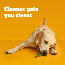 Pedigree-Dentastix-Fresh-Flavor7 - Brands For Less USA