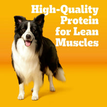 Pedigree-Marrobones-Grilled-Stea2 - Brands For Less USA