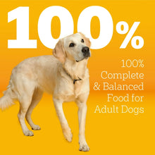 Pedigree-Marrobones-Grilled-Stea3 - Brands For Less USA