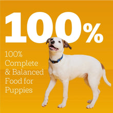 Pedigree-Puppy-Soft-Wet-Dog-Food4 - Brands For Less USA