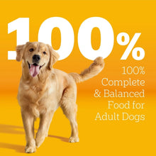Pedigree-With-Tender-Bites-Compl2 - Brands For Less USA