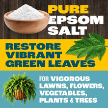 Pennington-Epsom-Salt-Plant-Food1 - Brands For Less USA