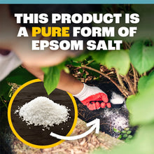 Pennington-Epsom-Salt-Plant-Food2 - Brands For Less USA