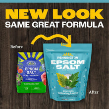 Pennington-Epsom-Salt-Plant-Food3 - Brands For Less USA