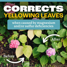 Pennington-Epsom-Salt-Plant-Food4 - Brands For Less USA