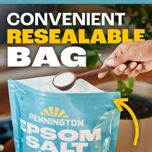 Pennington-Epsom-Salt-Plant-Food5 - Brands For Less USA