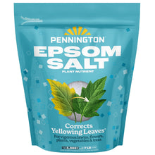 Pennington-Epsom-Salt-Plant-Food8 - Brands For Less USA