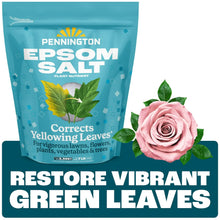 Pennington-Epsom-Salt-Plant-Food - Brands For Less USA