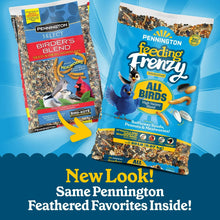 Pennington-Feeding-Frenzy-All-Bi1 - Brands For Less USA