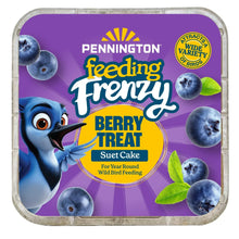 Pennington-Feeding-Frenzy-Berry - Brands For Less USA