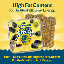 Pennington-Feeding-Frenzy-High-E3 - Brands For Less USA