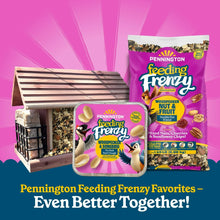 Pennington-Feeding-Frenzy-No-Mel6 - Brands For Less USA