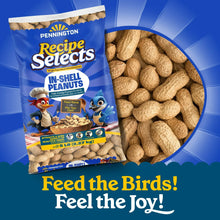 Pennington-In-Shell-Peanuts-Wild1 - Brands For Less USA