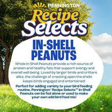 Pennington-In-Shell-Peanuts-Wild3 - Brands For Less USA