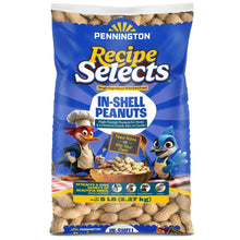 Pennington-In-Shell-Peanuts-Wild8 - Brands For Less USA