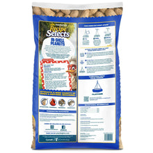 Pennington-In-Shell-Peanuts-Wild9 - Brands For Less USA