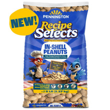 Pennington-In-Shell-Peanuts-Wild - Brands For Less USA
