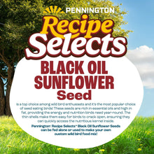 Pennington-Select-Black-Oil-Sunf2 - Brands For Less USA